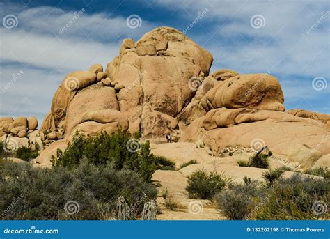 Boulder Pile And Trees Stock Photo | CartoonDealer.com #164169744