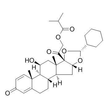 Ciclesonide - ShellChem