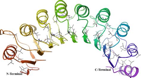 Leucine Rich Repeats Present In The Cyclin E Receptor Pdb Id Ast