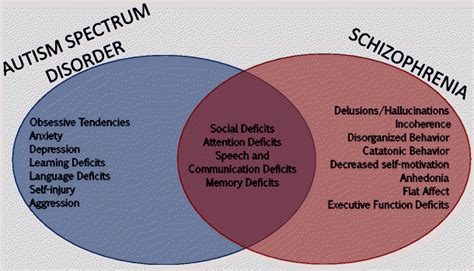 Symptoms Of ASD And Schizophrenia Symptoms Common To Both Disorders