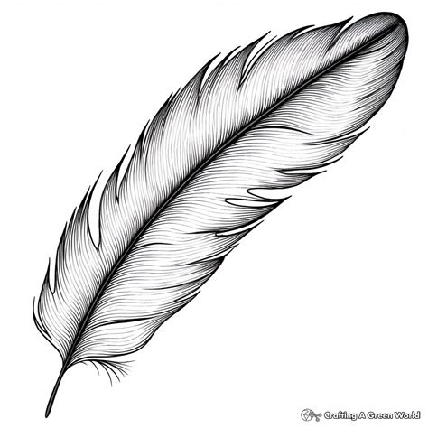 Peacock Feather Coloring Pages Free Printable