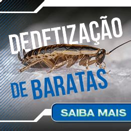 Saiba como identificar fezes de baratas na sua casa Astral Saúde