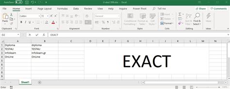 The Exact Function Excelpedia