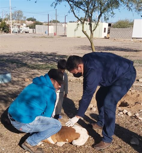 Salud Sonora On Twitter Este D A Se Instal Un Puesto De