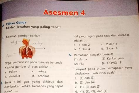 Kunci Jawaban Ipas Kelas 5 Asasmen 4 Kurikulum Merdeka Halaman 115 117