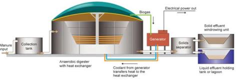 Biogas System Design