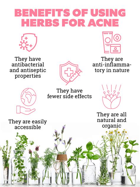 Herbs For Acne Benefits And How To Use Them