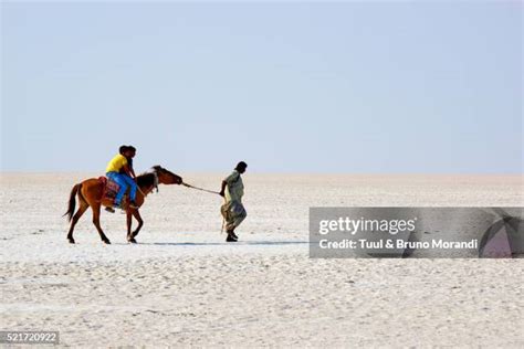 159 Kutch Salt Desert Stock Photos, High-Res Pictures, and Images ...