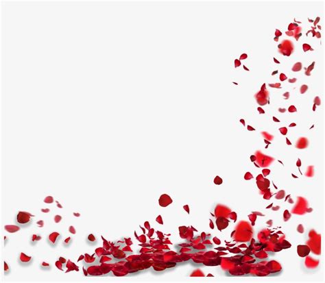 Rose Petals Falling Png Images Png Cliparts Free Download On Seekpng