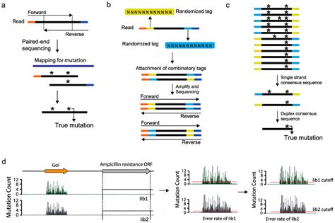 Ijms Free Full Text Rational Protein Engineering Guided By Deep