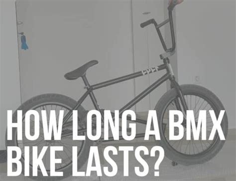 Bmx Frame Size Chart Buyer S Guide The Bmx Dude