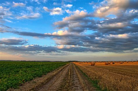 Maltempo e siccità Puglia in ginocchio Coldiretti lancia lallarme