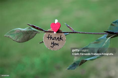 Thank You With Love High-Res Stock Photo - Getty Images