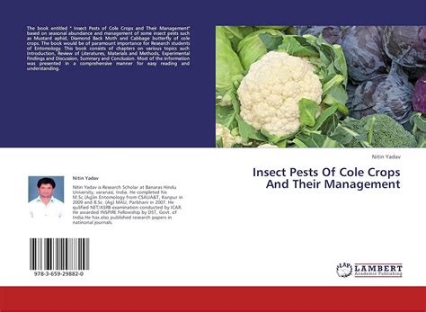 Insect Pests Of Cole Crops And Their Management Yadav Nitin