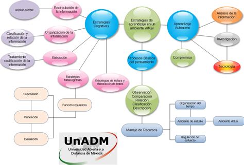 S3 Actividad 1 Mapa Conceptual