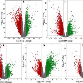 Volcano Plots Of Degs The Plots Show Differential Gene Expression