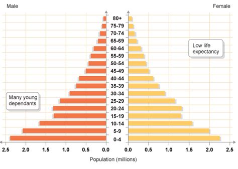 Population Revision Wingate Geography