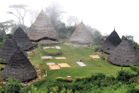 5 Rumah Adat NTT Sejarah Macam Bentuk Dan Filosofinya