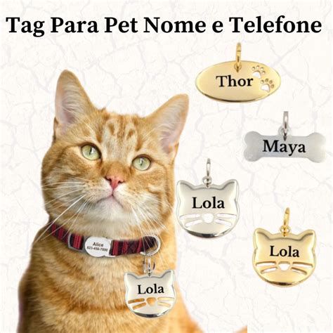 Plaquinha De Identifica O Pet Para Coleira Personalizada Gato Ou