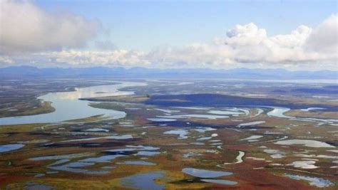 Температура воды в реке Анадырь