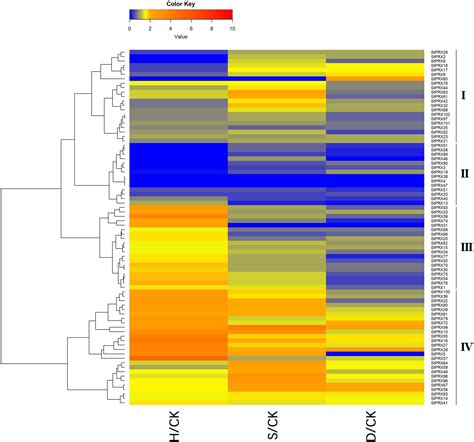 Frontiers Genome Wide Identification And Expression Analysis Of The