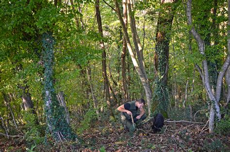 Fotogalerija Karlić tartufi Gir d o o