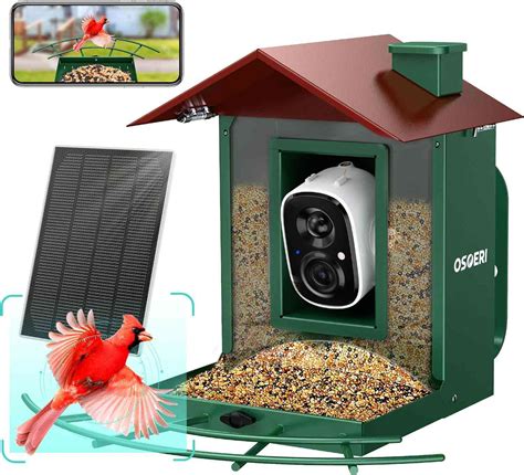 Smart Bird Feeders Are Trending On TikTokHere S Why You Need One