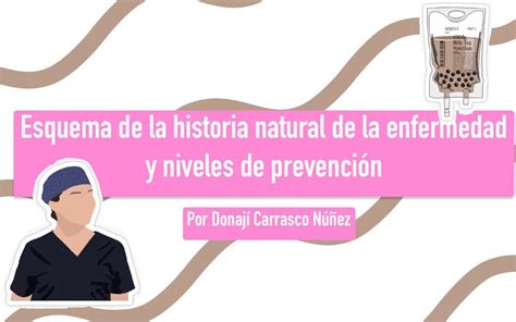 Historia Natural De La Enfermedad Y Niveles De Prevenci N Leavell Y