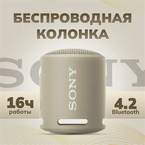 Беспроводная колонка Sony SRS-XB13 - купить по доступным ценам в ...