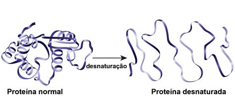 O Que É Desnaturaçao Proteica
