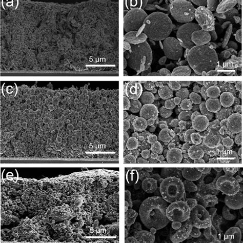 SEM Images Of TiO 2 Sphere Doughnut And Disk Shaped Particles