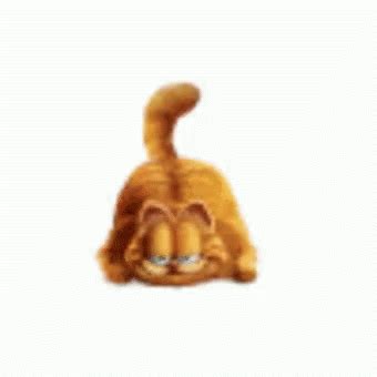 Garfield GIF - Garfield - Discover & Share GIFs