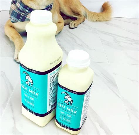 Deep Dive Raw Goat Milk For Dogs — The Bones And Co