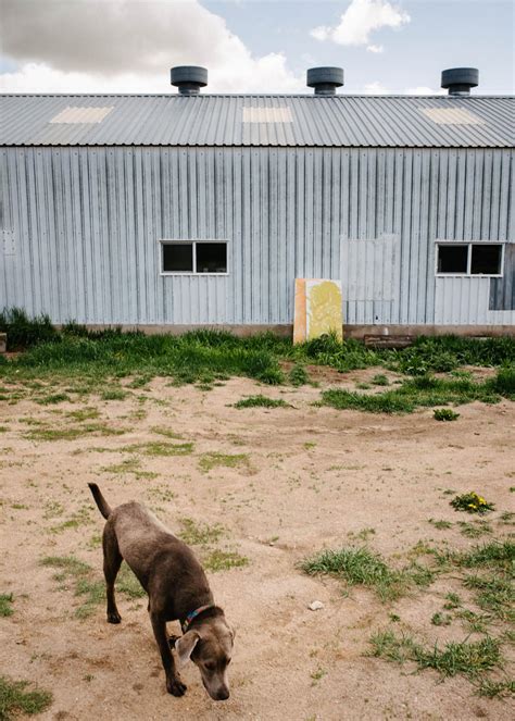 Visiting James Beard Award-Winning Chef Alex Seidel’s Fruition Farms
