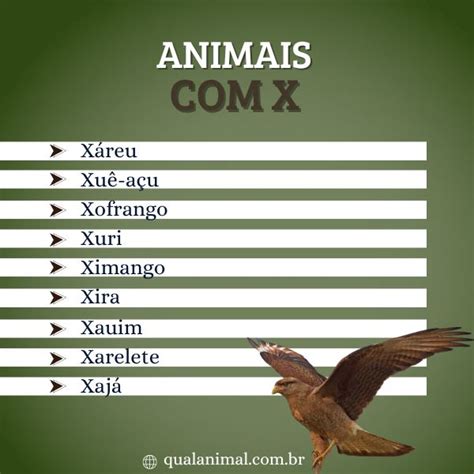 Nomes De Animais Com A Letra X