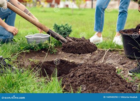 Voluntariado J Venes Voluntarios Al Aire Libre Plantando Juntos En El