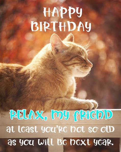 Happy Birthday Dear Friend Cats