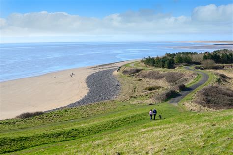 Dog friendly beaches - Discover Carmarthenshire