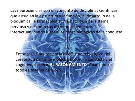 Neurociencia