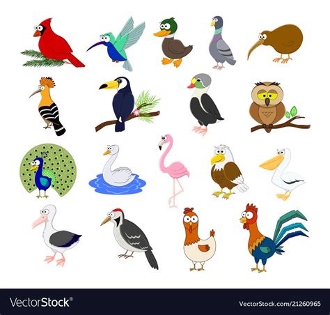 Big set of different cartoon birds Royalty Free Vector Image