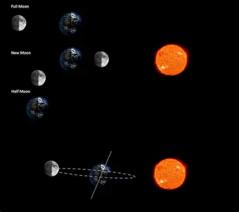 Earth has many objects in orbit but definitely only one Moon | Space