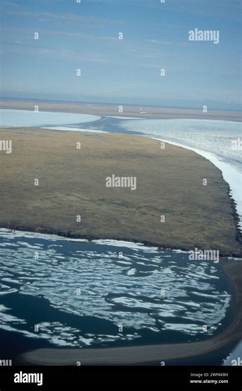 Aerial View Of Spring Pack Ice Breakup 1002 Area Of The Arctic