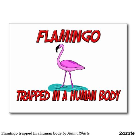 Flamingo Trapped In A Human Body Postcard Postcard Human Body Colorful Prints