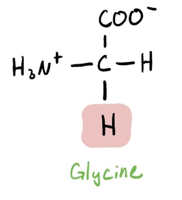 Biochem Exam Flashcards Quizlet