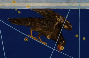 Corvus Constellation Myths and Facts | Under the Night Sky