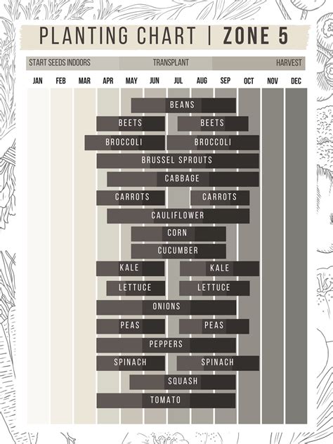 Planting Chart for USDA Hardiness Zone 5