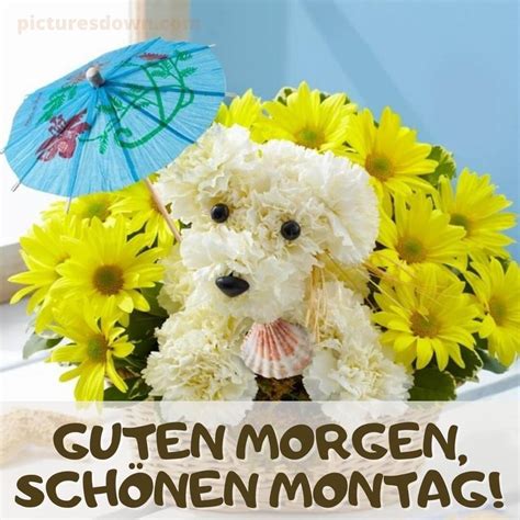 Wochenstart Guten Morgen Montag Bild Blumen Kostenlos