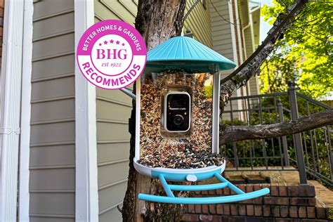 The 5 Best Bird Feeders, Tested by BHG