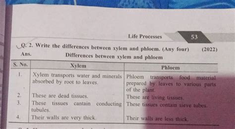 Life Processes Q Write The Differences Between Xylem And Phloem