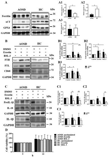 Biomedicines Special Issue Macrophages In Health And Non Infectious